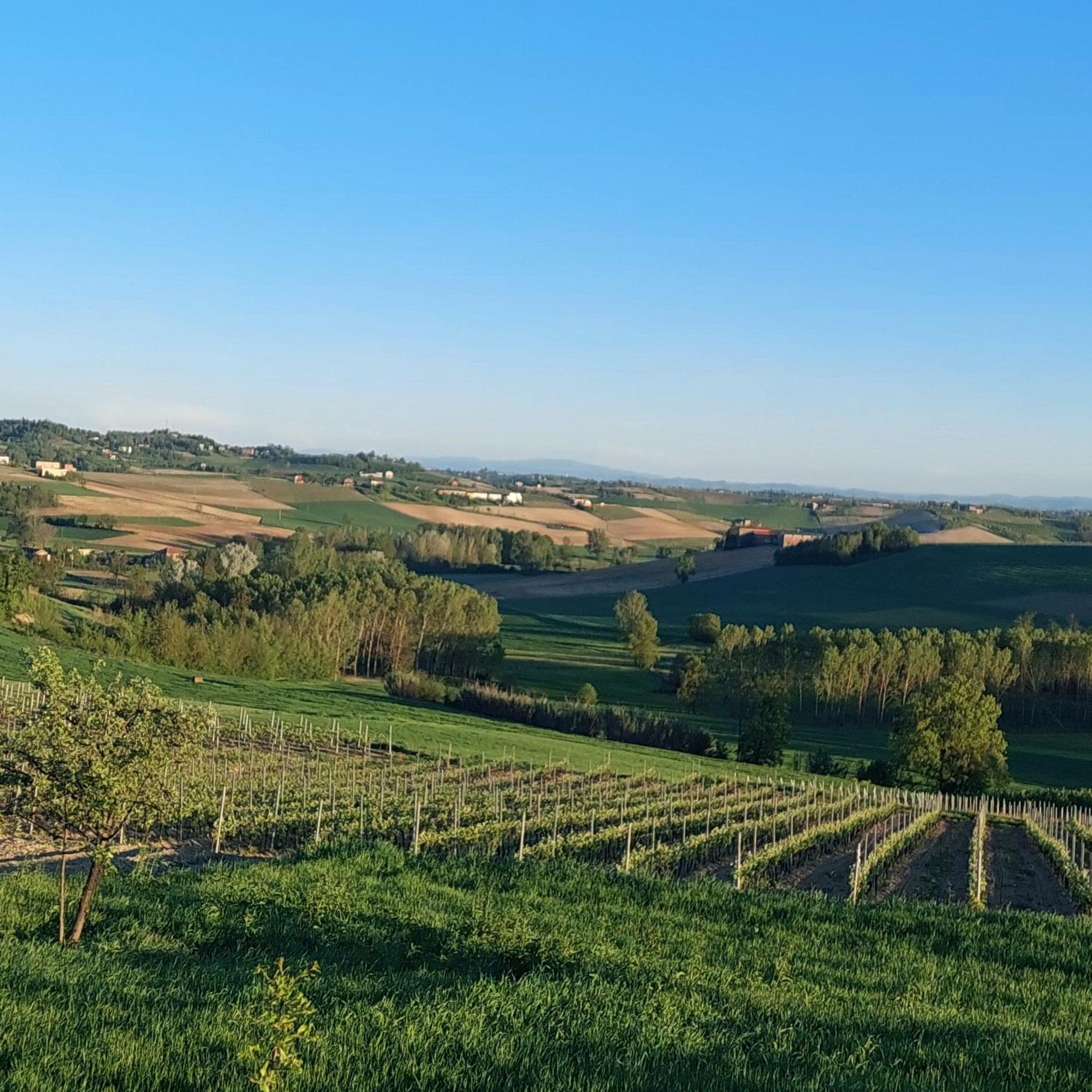 Casa Rovelli Bed & Breakfast Alfiano Natta Exterior photo