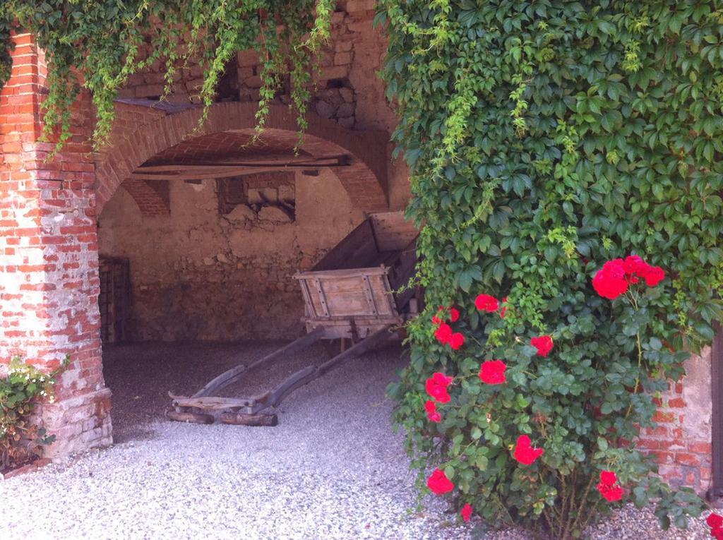 Casa Rovelli Bed & Breakfast Alfiano Natta Exterior photo